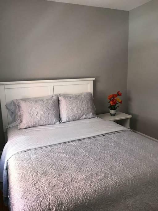 Bright, Clean, Private. In The Heart Of Downtown! Parking, Wi-Fi And Netflix Included Leilighet Ottawa Eksteriør bilde