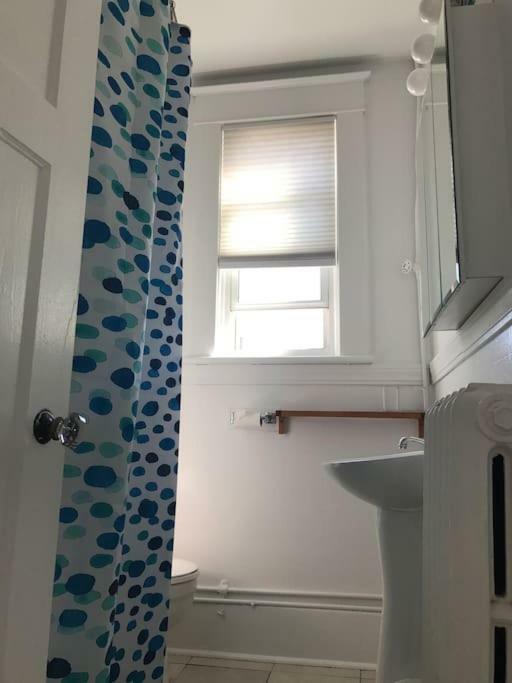 Bright, Clean, Private. In The Heart Of Downtown! Parking, Wi-Fi And Netflix Included Leilighet Ottawa Eksteriør bilde